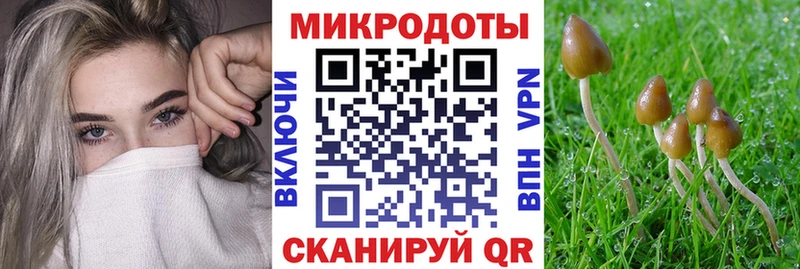 ОМГ ОМГ ССЫЛКА  Котельники  Псилоцибиновые грибы ЛСД 