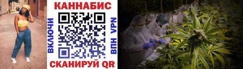 Бошки Шишки планчик Котельники